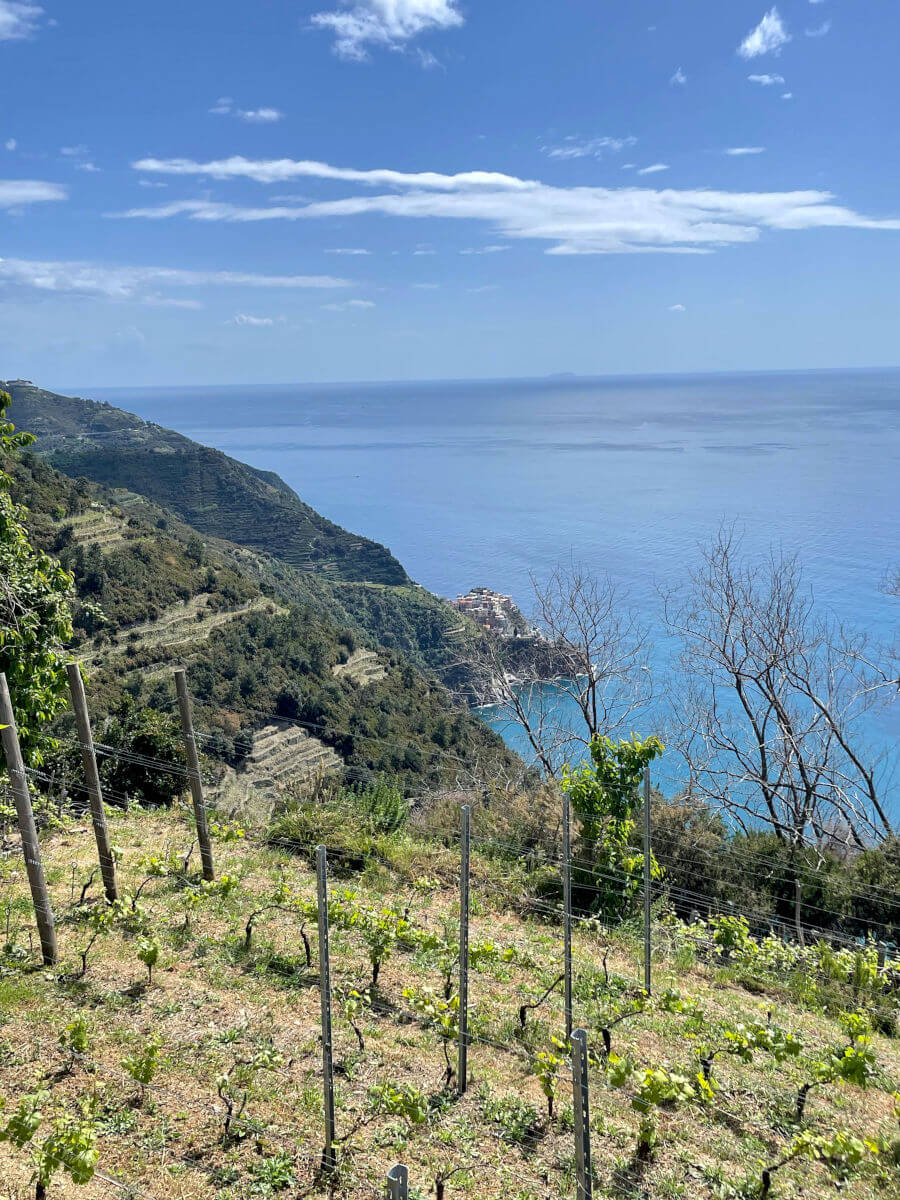Le Cinque Terre