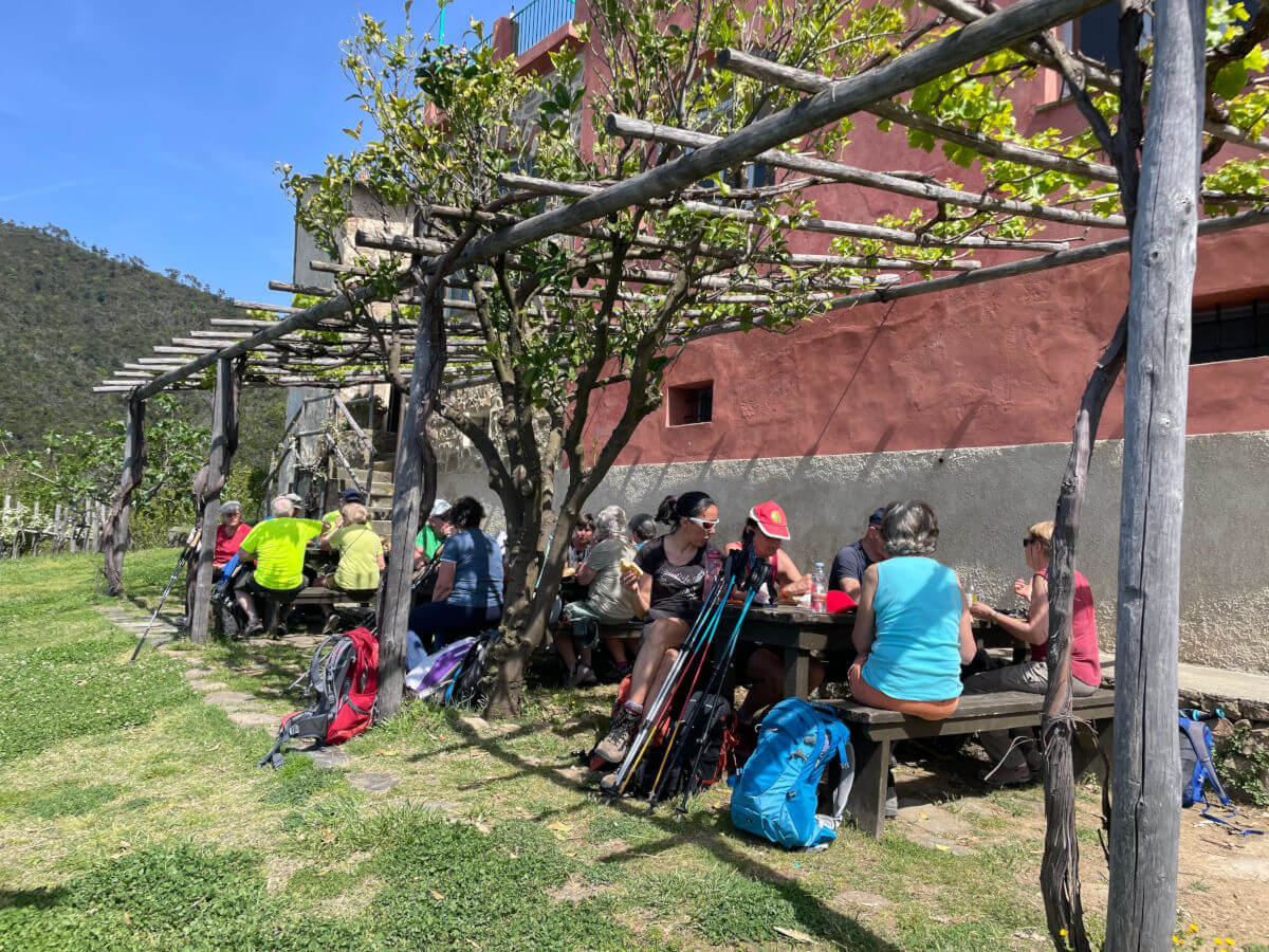 Spuntino Sotto Il Pergolato