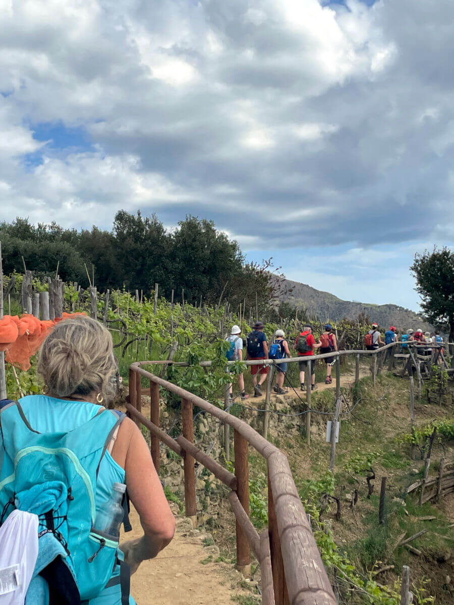 Tra I Vigneti